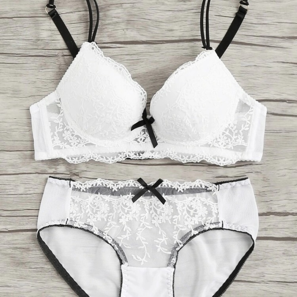 Embroidered mesh overlay lingerie set